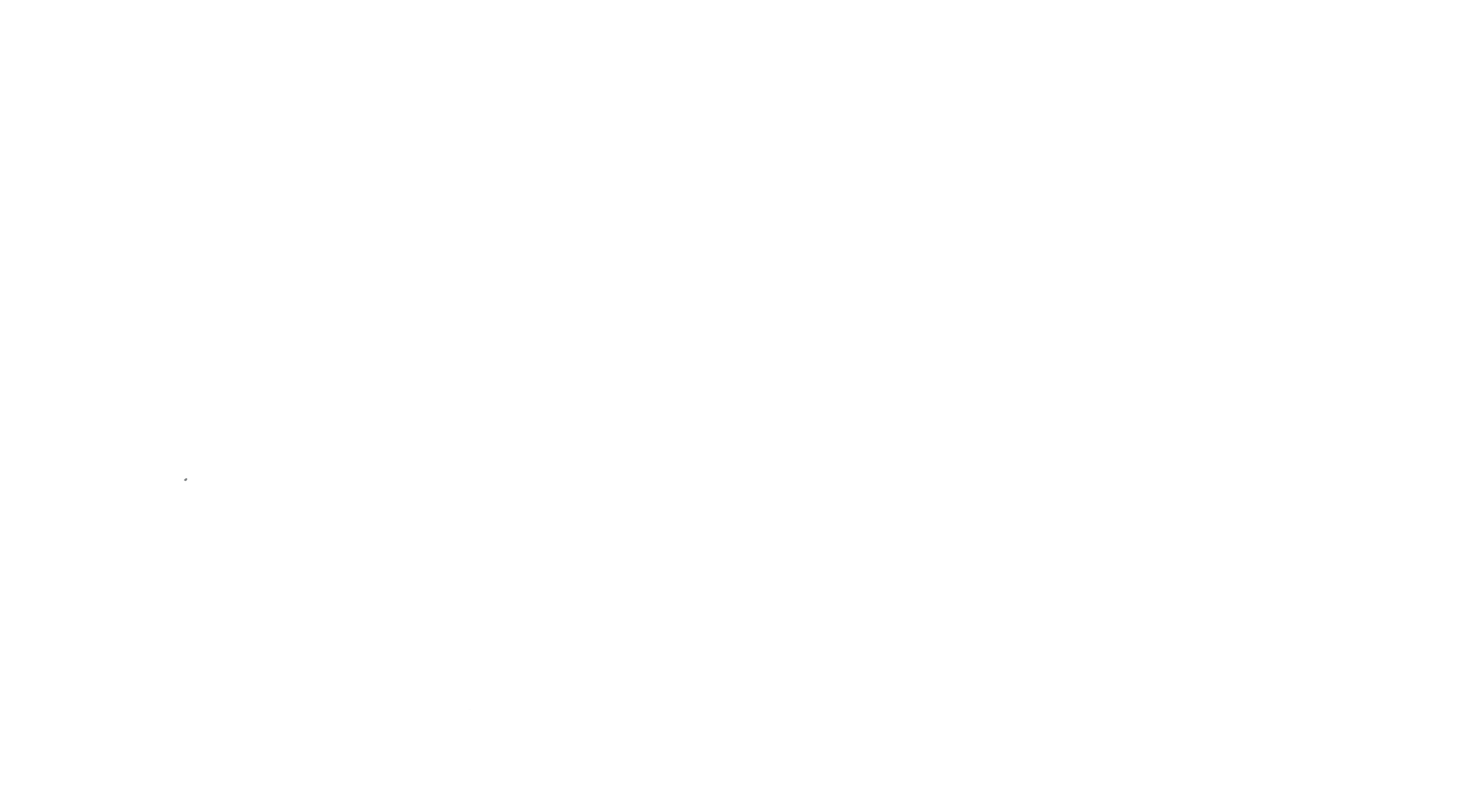 Nombre de la Empresa